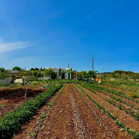 L'armino Holiday home *